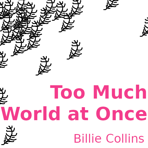 A white square, with black feathers scattered, clustered in the top right corner. Pink text reads: 'Too Much World at Once, Billie Collins.'